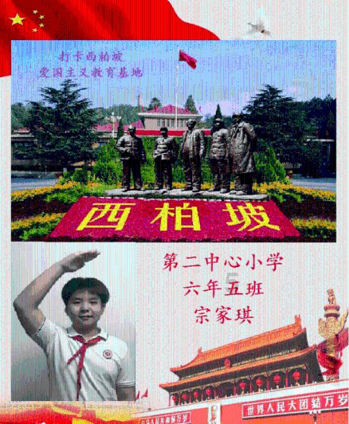 救援小肥兔